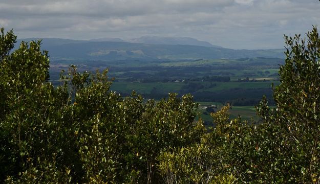 DSC00080_Otanewainuku