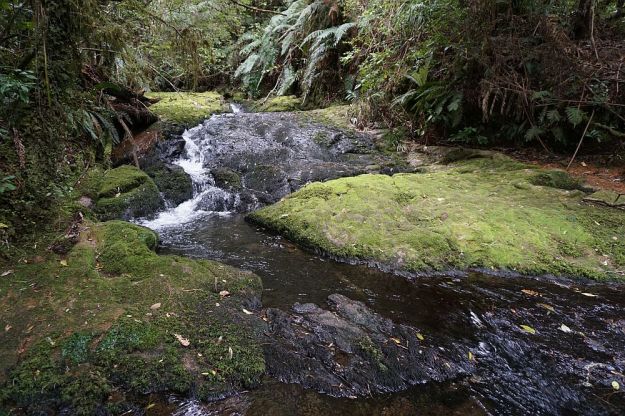 DSC00104_WhataroaFalls