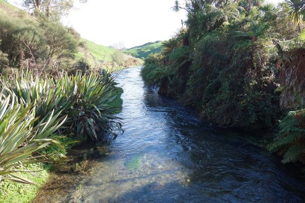 DSC01531_TeWaihouWalkway