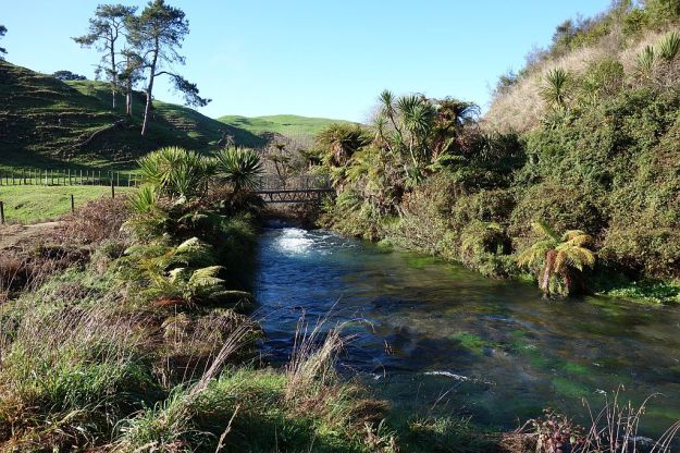 DSC01533_TeWaihouWalkway