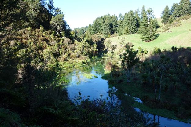 DSC01542_TeWaihouWalkway