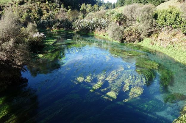 DSC01544_TeWaihouWalkway