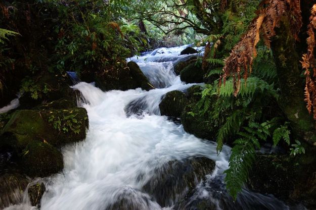 DSC01546_TeWaihouWalkway