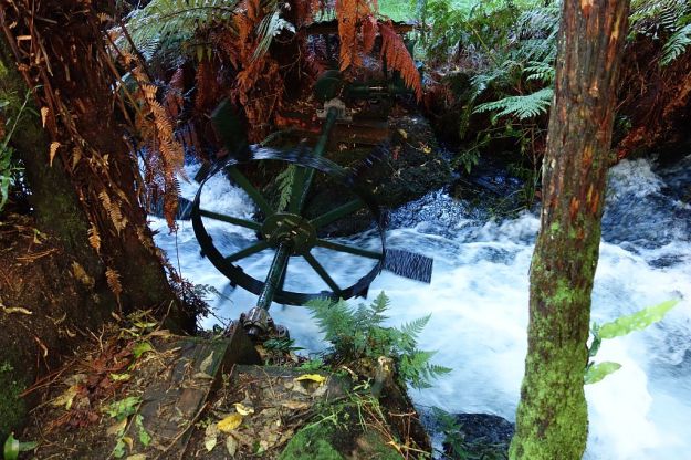 DSC01547_TeWaihouWalkway