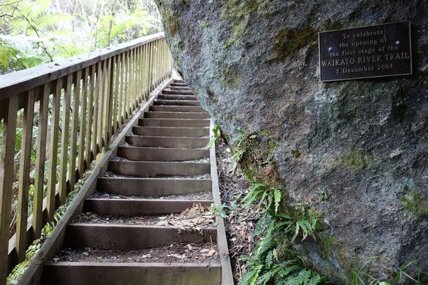 DSC02798_WaikatoRiverTrail