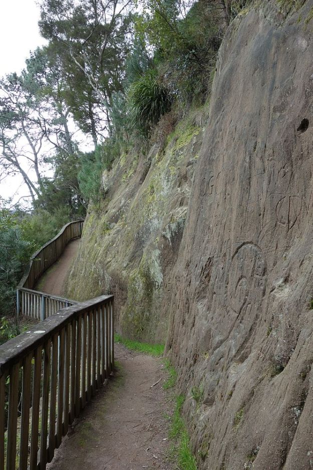 DSC02800_WaikatoRiverTrail