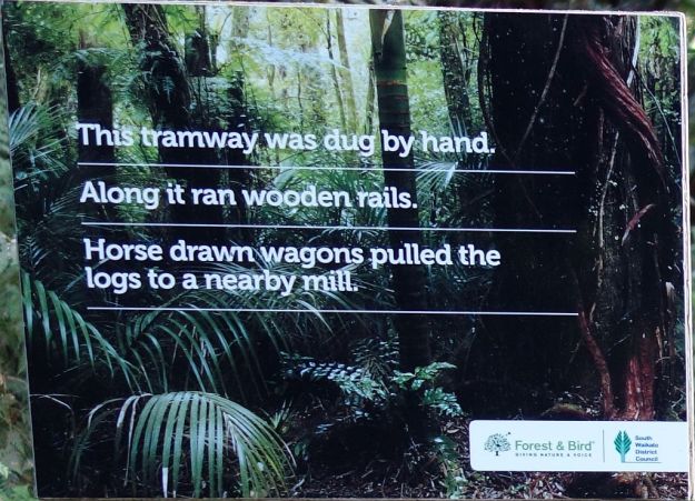 DSC02848_JimBarnettReserve