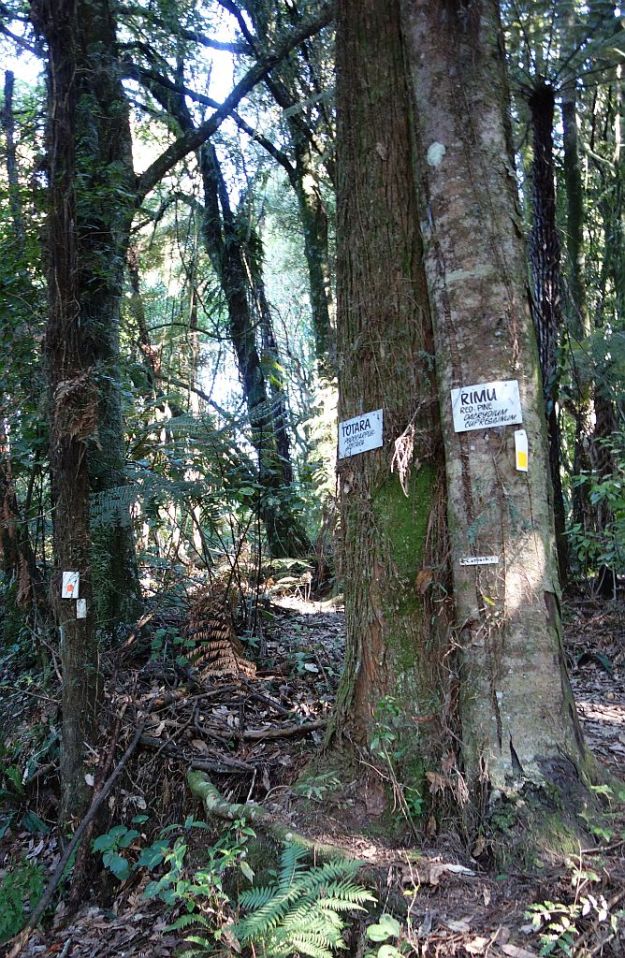 DSC02862_JimBarnettReserve