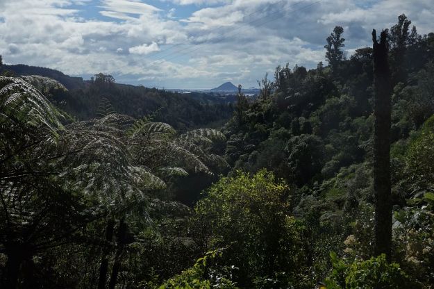 DSC02894_KaiateFalls