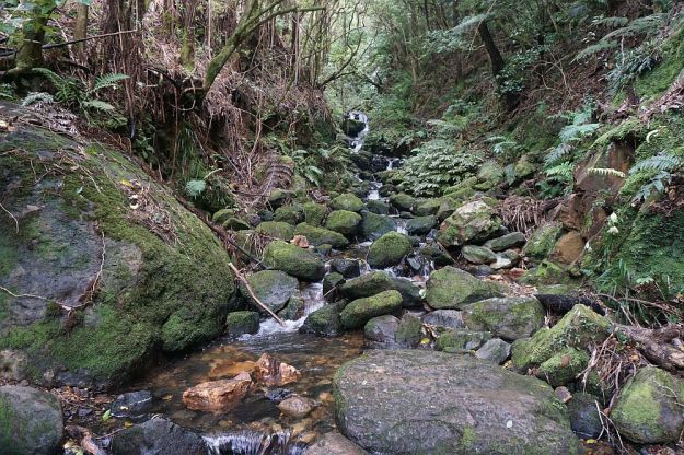 DSC00343_Waiorongomai