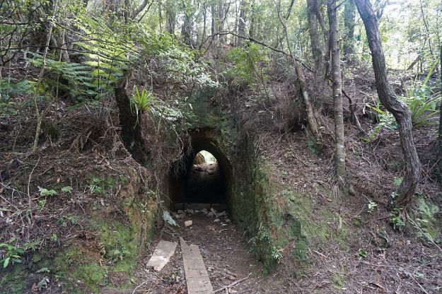 DSC00345_Waiorongomai