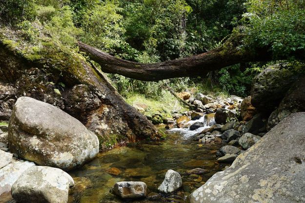 DSC00359_Waiorongomai