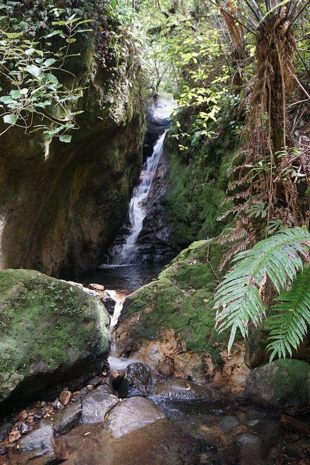 DSC00363_Waiorongomai