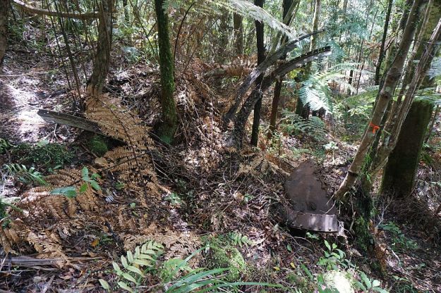 DSC00376_Waiorongomai