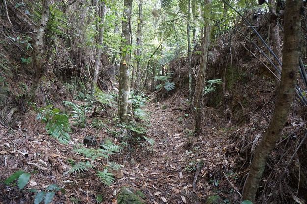 DSC00377_Waiorongomai