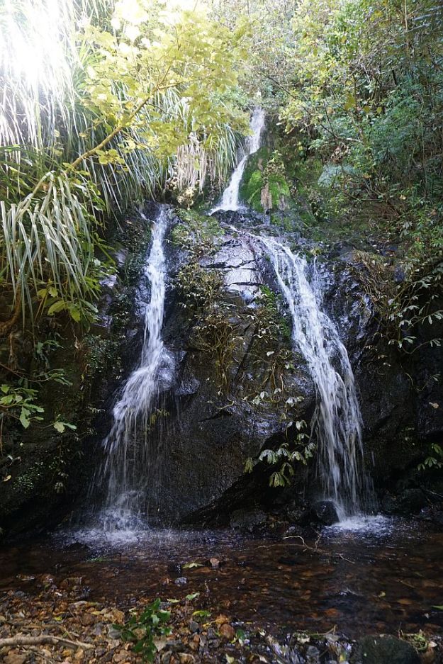 DSC00387_Waiorongomai