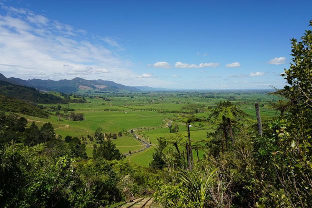 DSC00392_Waiorongomai