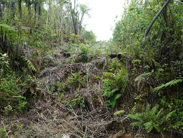 DSC00419_PiakoCountyTramway