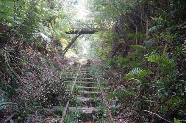 DSC00453_PiakoCountyTramway