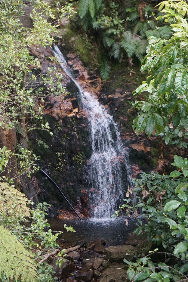 DSC00488_PiakoCountyTramway