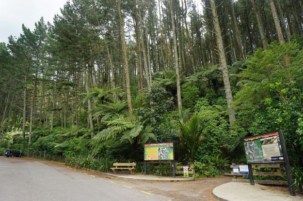 DSC00512_PapamoaHills