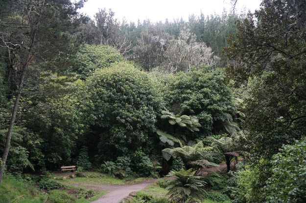 DSC00519_PapamoaHills