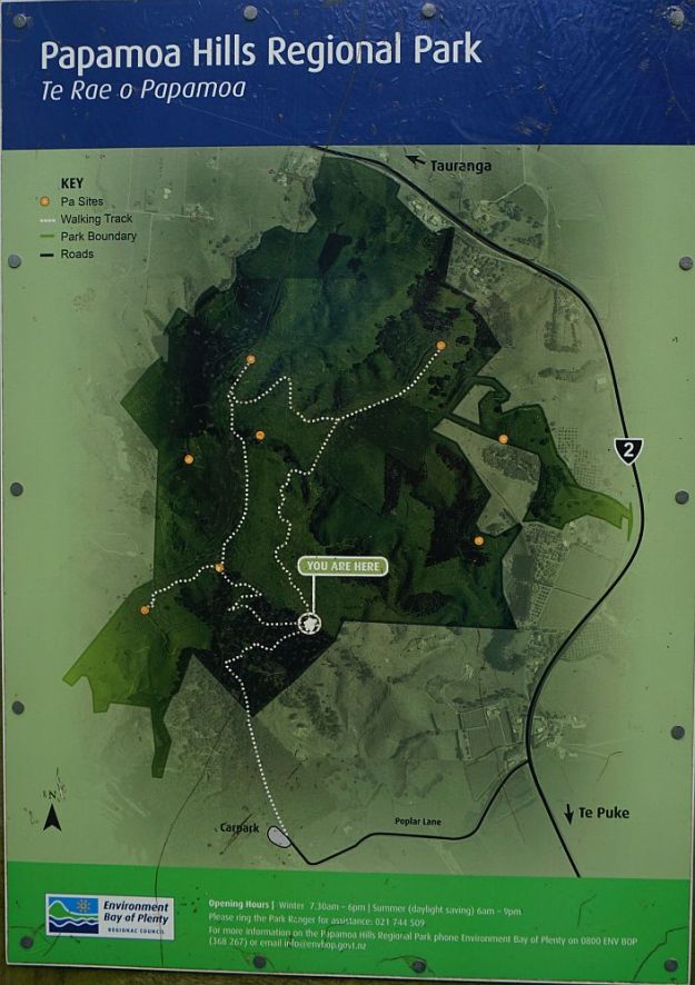 DSC00521_PapamoaHills