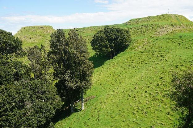 DSC00528_PapamoaHills