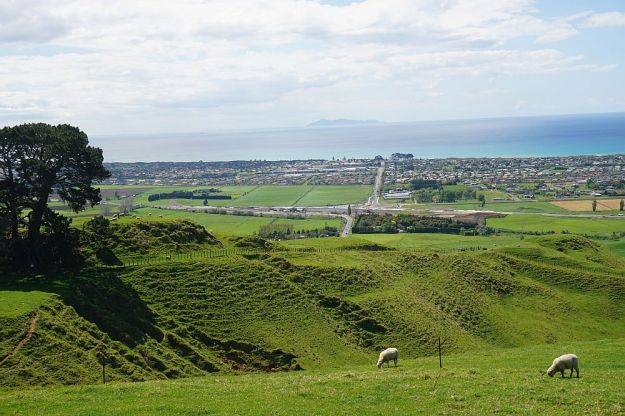 DSC00545_PapamoaHills