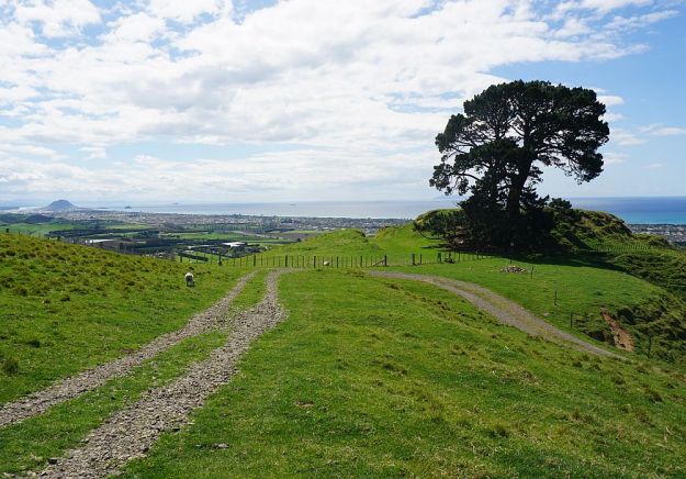 DSC00547_PapamoaHills