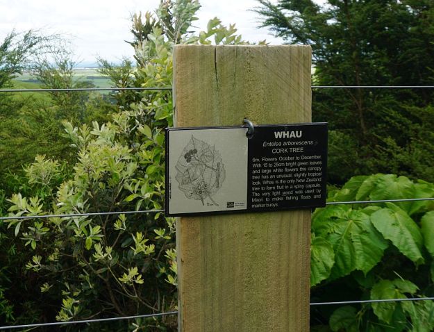 DSC00593_PapamoaHills