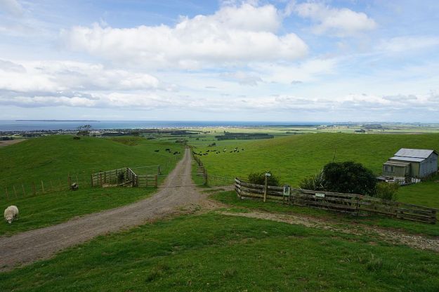 DSC00594_PapamoaHills