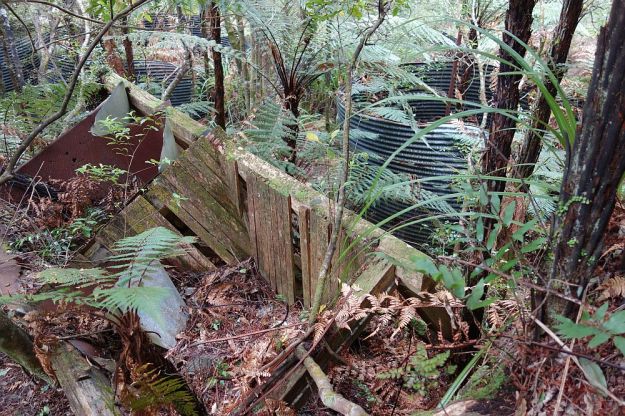 DSC01722_Waiorongomai