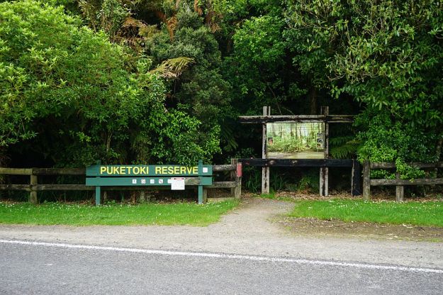 DSC00881_PuketokiReserve
