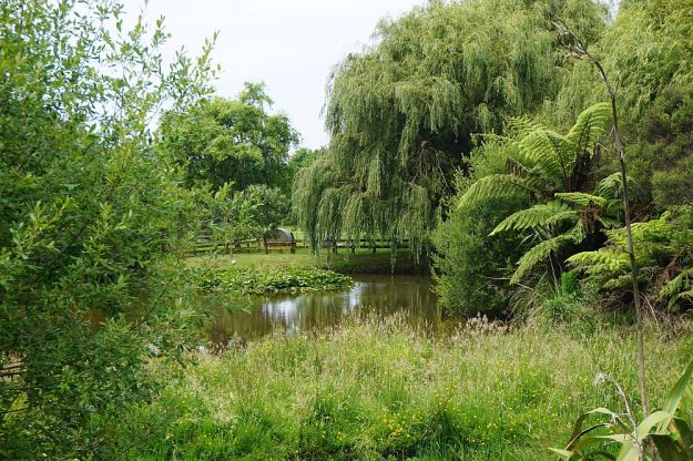 DSC00907_IAnsonReserve