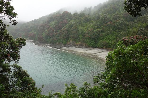 DSC02973_Whakatane_Ohope