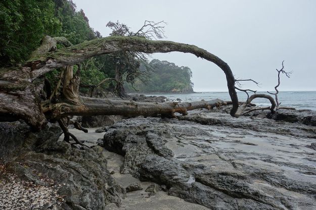 DSC02979_Whakatane_Ohope