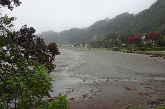 DSC02990_Whakatane_Ohope