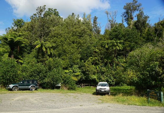 DSC01031_TeTapui_Maungakawa