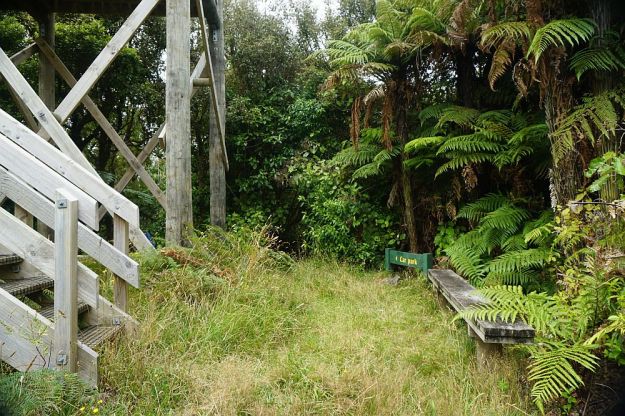 DSC01039_TeTapui_Maungakawa