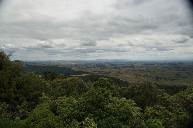 DSC01042_TeTapui_Maungakawa