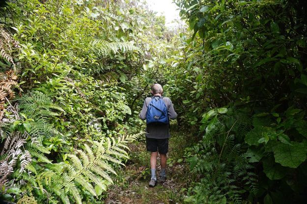DSC01046_TeTapui_Maungakawa