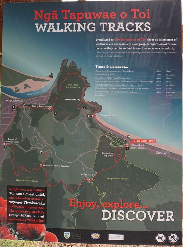 DSC01052_NgaTapuwaeOToi