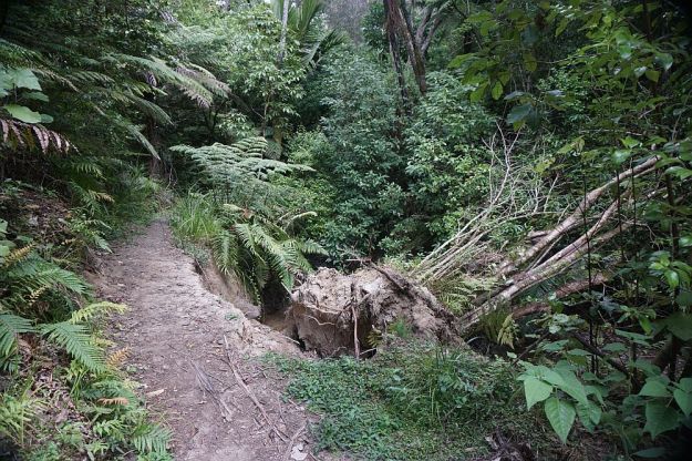 DSC01057_NgaTapuwaeOToi