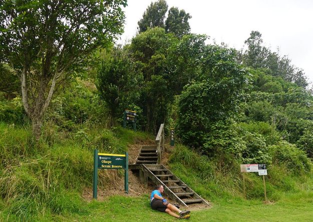 DSC01066_NgaTapuwaeOToi