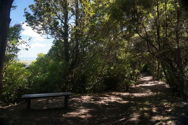 DSC01091_NgaTapuwaeOToi