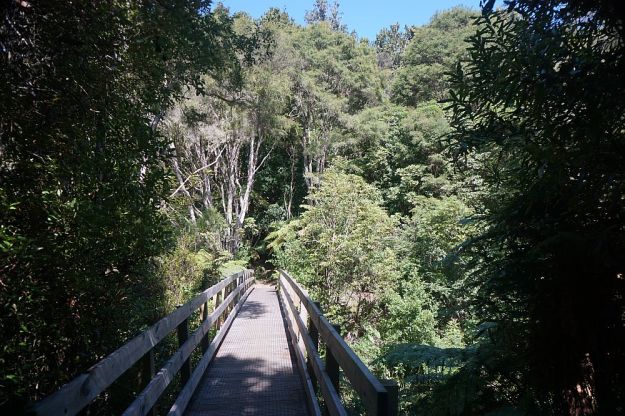 DSC01094_NgaTapuwaeOToi