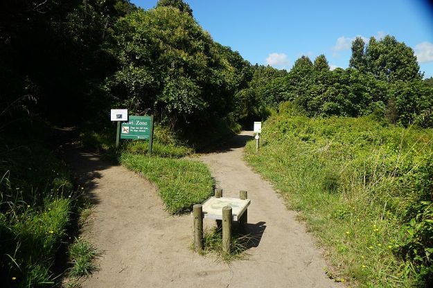 DSC01095_NgaTapuwaeOToi