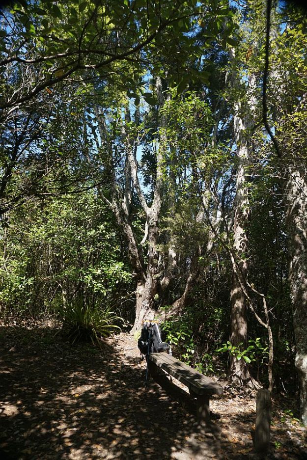 DSC01097_NgaTapuwaeOToi