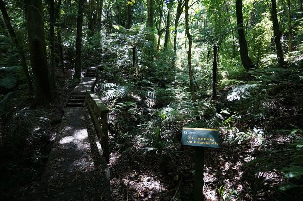 DSC01119_NgaTapuwaeOToi